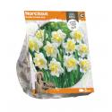 Baltus Narcissus Double Double Star bloembollen per 3 stuks